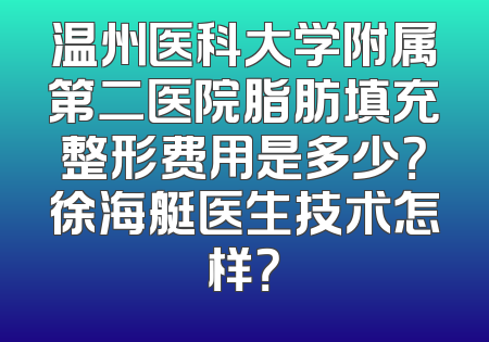 温州医科大学附属第二医院脂肪填充整形费用是多少？徐海艇医生技术怎样？