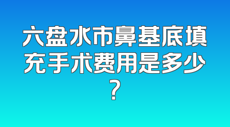六盘水市鼻基底填充手术费用是多少？