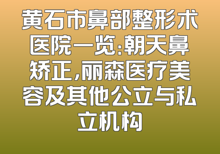 黄石市鼻部整形术医院一览：朝天鼻矫正，丽森医疗美容及其他公立与私立机构