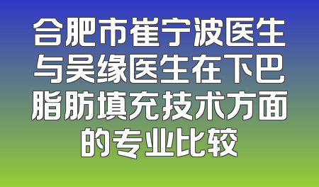 合肥市崔宁波医生与吴缘医生在下巴脂肪填充技术方面的专业比较
