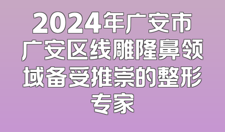 2024年广安市广安区线雕隆鼻领域备受推崇的整形专家