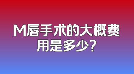 M唇手术的大概费用是多少？