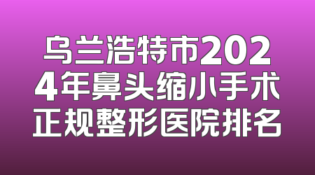 乌兰浩特市2024年鼻头缩小手术正规整形医院排名