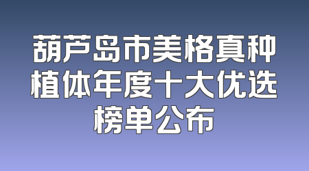 葫芦岛市美格真种植体年度十大优选榜单公布