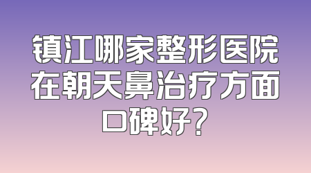 镇江哪家整形医院在朝天鼻治疗方面口碑好？
