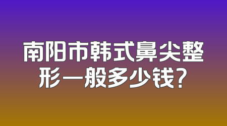 南阳市韩式鼻尖整形一般多少钱？