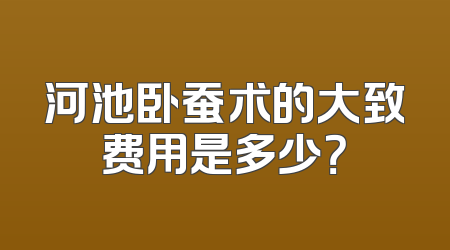 河池卧蚕术的大致费用是多少？