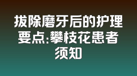 拔除磨牙后的护理要点：攀枝花患者须知