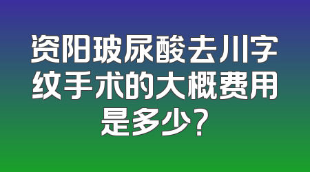 资阳玻尿酸去川字纹手术的大概费用是多少？