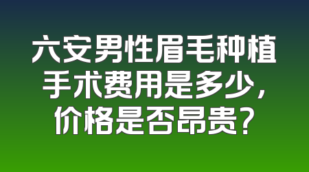六安男性眉毛种植手术费用是多少，价格是否昂贵？