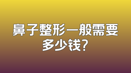 鼻子整形一般需要多少钱？