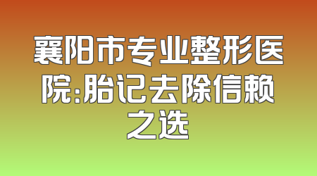 襄阳市专业整形医院：胎记去除信赖之选