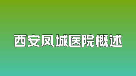 西安凤城医院概述