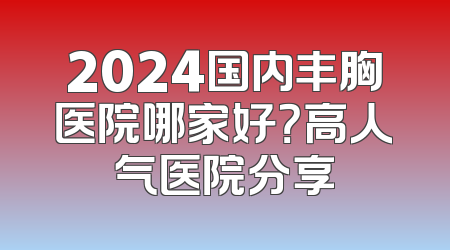 2024国内丰胸医院哪家好？高人气医院分享