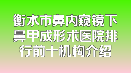 衡水市鼻内窥镜下鼻甲成形术医院排行前十机构介绍
