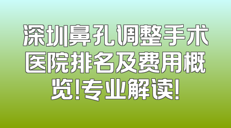 深圳鼻孔调整手术医院排名及费用概览！专业解读！