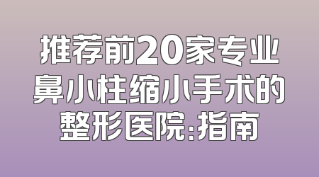 推荐前20家专业鼻小柱缩小手术的整形医院：指南