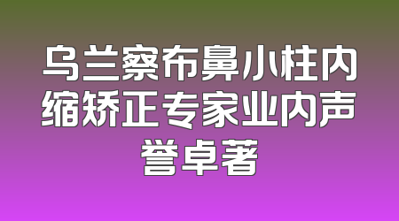 乌兰察布鼻小柱内缩矫正专家业内声誉卓著