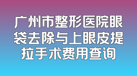 广州市整形医院眼袋去除与上眼皮提拉手术费用查询