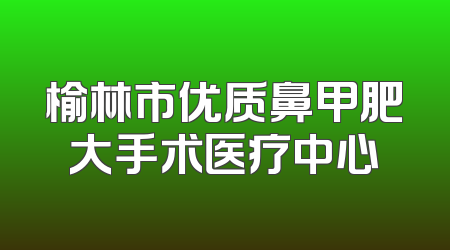 榆林市优质鼻甲肥大手术医疗中心