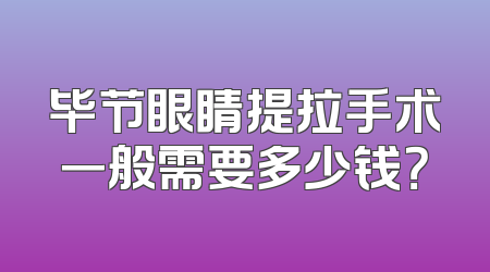 毕节眼睛提拉手术一般需要多少钱？