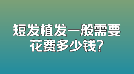 短发植发一般需要花费多少钱？