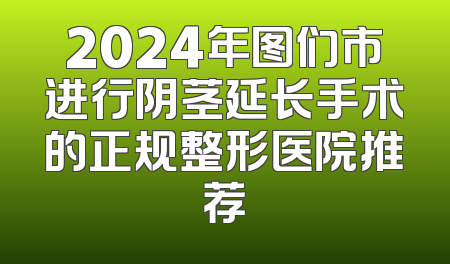 2024年图们市进行阴茎延长手术的正规整形医院推荐