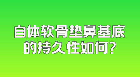 自体软骨垫鼻基底的持久性如何？