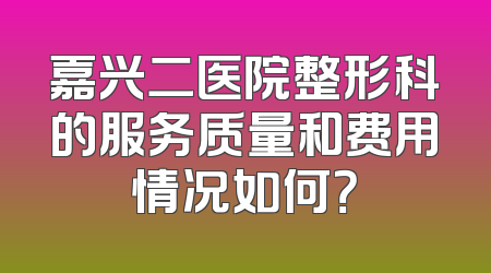 嘉兴二医院整形科的服务质量和费用情况如何？