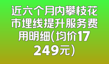 近六个月内攀枝花市埋线提升服务费用明细（均价17249元）