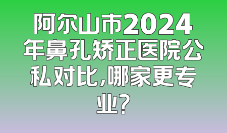 阿尔山市2024年鼻孔矫正医院公私对比，哪家更专业？