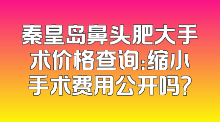 秦皇岛鼻头肥大手术价格查询：缩小手术费用公开吗？