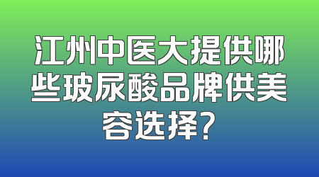 江州中医大提供哪些玻尿酸品牌供美容选择？