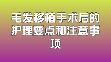 毛发移植手术后的护理要点和注意事项