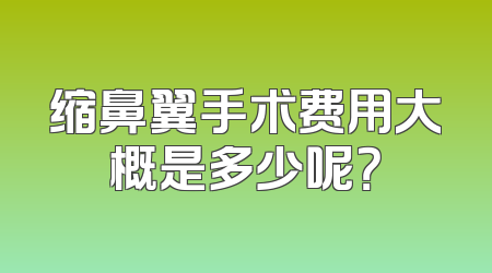 缩鼻翼手术费用大概是多少呢？