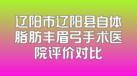 辽阳市辽阳县自体脂肪丰眉弓手术医院评价对比