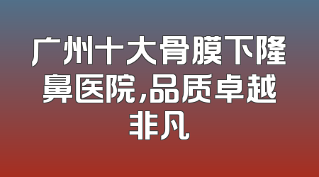 广州十大骨膜下隆鼻医院，品质卓越非凡