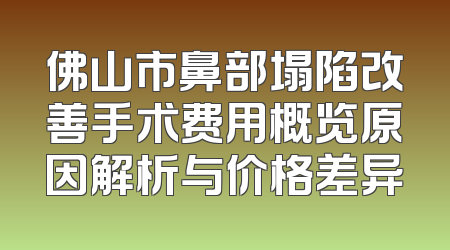 佛山市鼻部塌陷改善手术费用概览原因解析与价格差异
