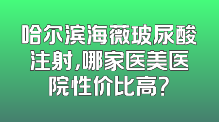 哈尔滨海薇玻尿酸注射，哪家医美医院性价比高？