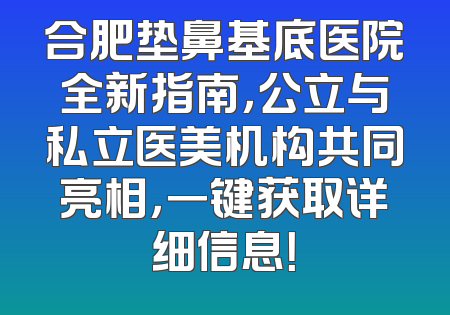 合肥垫鼻基底医院全新指南，公立与私立医美机构共同亮相，一键获取详细信息！