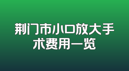 荆门市小口放大手术费用一览
