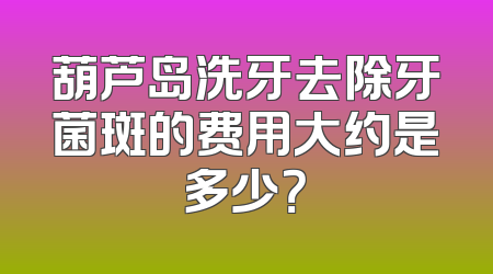 葫芦岛洗牙去除牙菌斑的费用大约是多少？