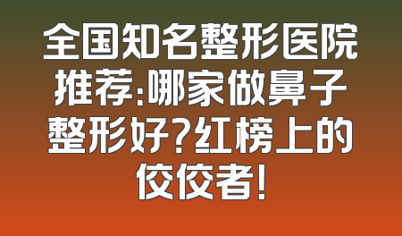 全国知名整形医院推荐：哪家做鼻子整形好？红榜上的佼佼者！