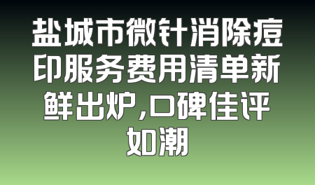 盐城市微针消除痘印服务费用清单新鲜出炉，口碑佳评如潮