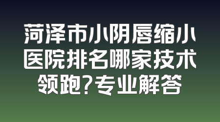 菏泽市小阴唇缩小医院排名哪家技术领跑？专业解答