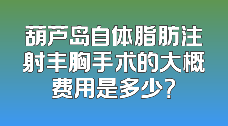 葫芦岛自体脂肪注射丰胸手术的大概费用是多少？