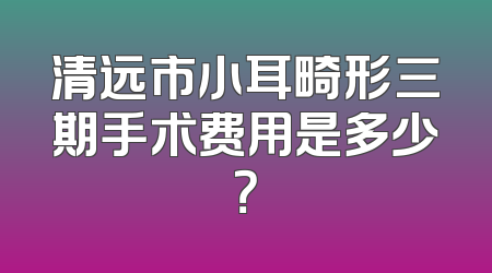 清远市小耳畸形三期手术费用是多少？
