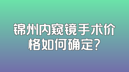 锦州内窥镜手术价格如何确定？