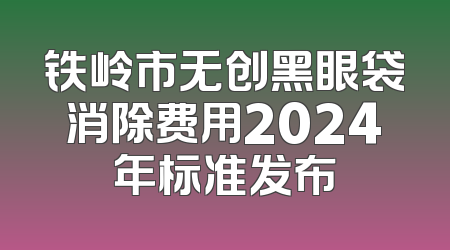 铁岭市无创黑眼袋消除费用2024年标准发布