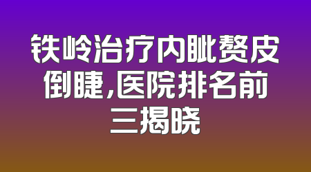 铁岭治疗内眦赘皮倒睫，医院排名前三揭晓